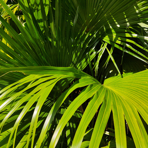 91影片在线免费观看
